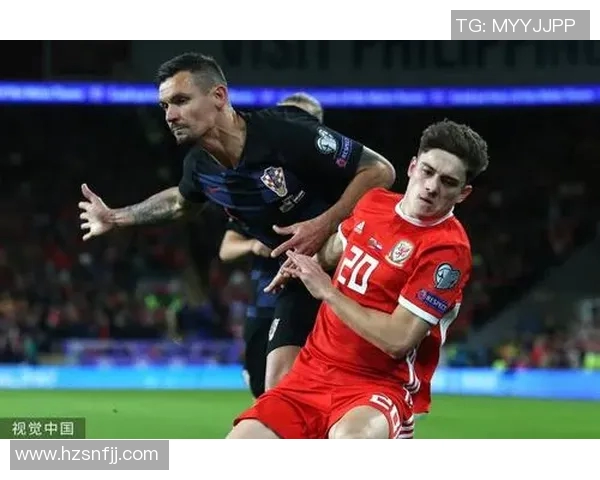 威尔士与斯洛伐克精彩对决视频回顾与分析 威尔士与斯洛伐克精彩对决视频回顾与分析