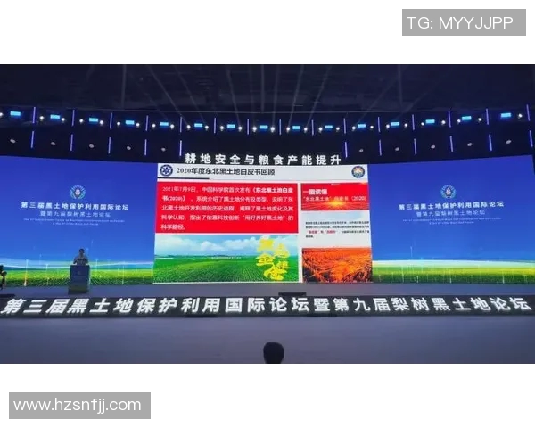 辽宁开新与河北华夏的较量谁能在赛场上笑到最后解析比赛关键因素与球员表现 辽宁开新与河北华夏的较量谁能在赛场上笑到最后解析比赛关键因素与球员表现