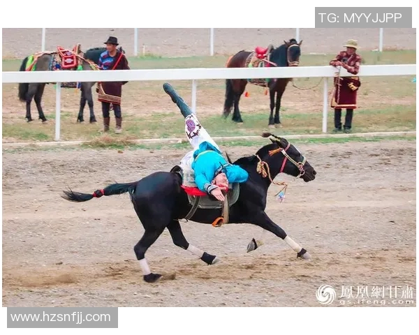 优雅骑士与骏马共舞马术盛装舞步的魅力与艺术之旅